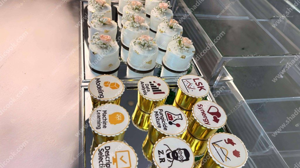 پک پذیرایی 2 سینی پذیرایی