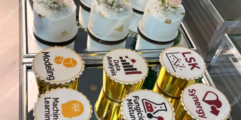 سینی پذیرایی